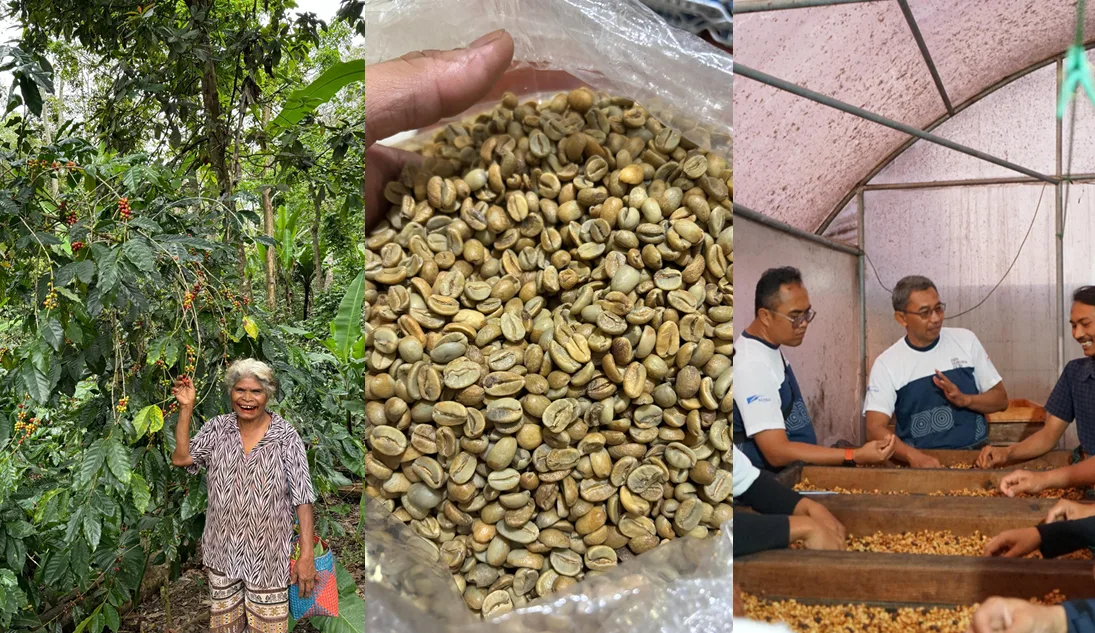 Coffee origin, green beans, and producer quality-control activities